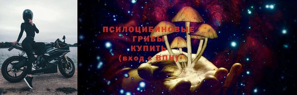 трава Заводоуковск