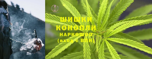 трава Заводоуковск
