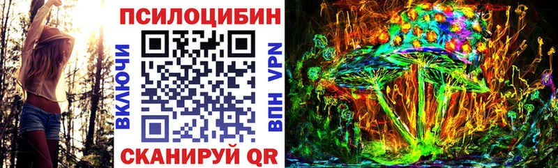 Галлюциногенные грибы Magic Shrooms  где найти наркотики  Змеиногорск 